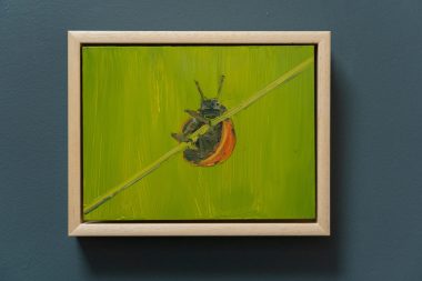 Kaye Maahs oil painting beautiful painting horizon sky and sea black rocks beach seascape kilbaha gallery ladybugs birds bees animals interiors