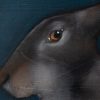 Heidi Wickham acrylics original Irish art striking colours beautiful art original painting contemporary artist vivid interiors kilbaha gallery hare animal art