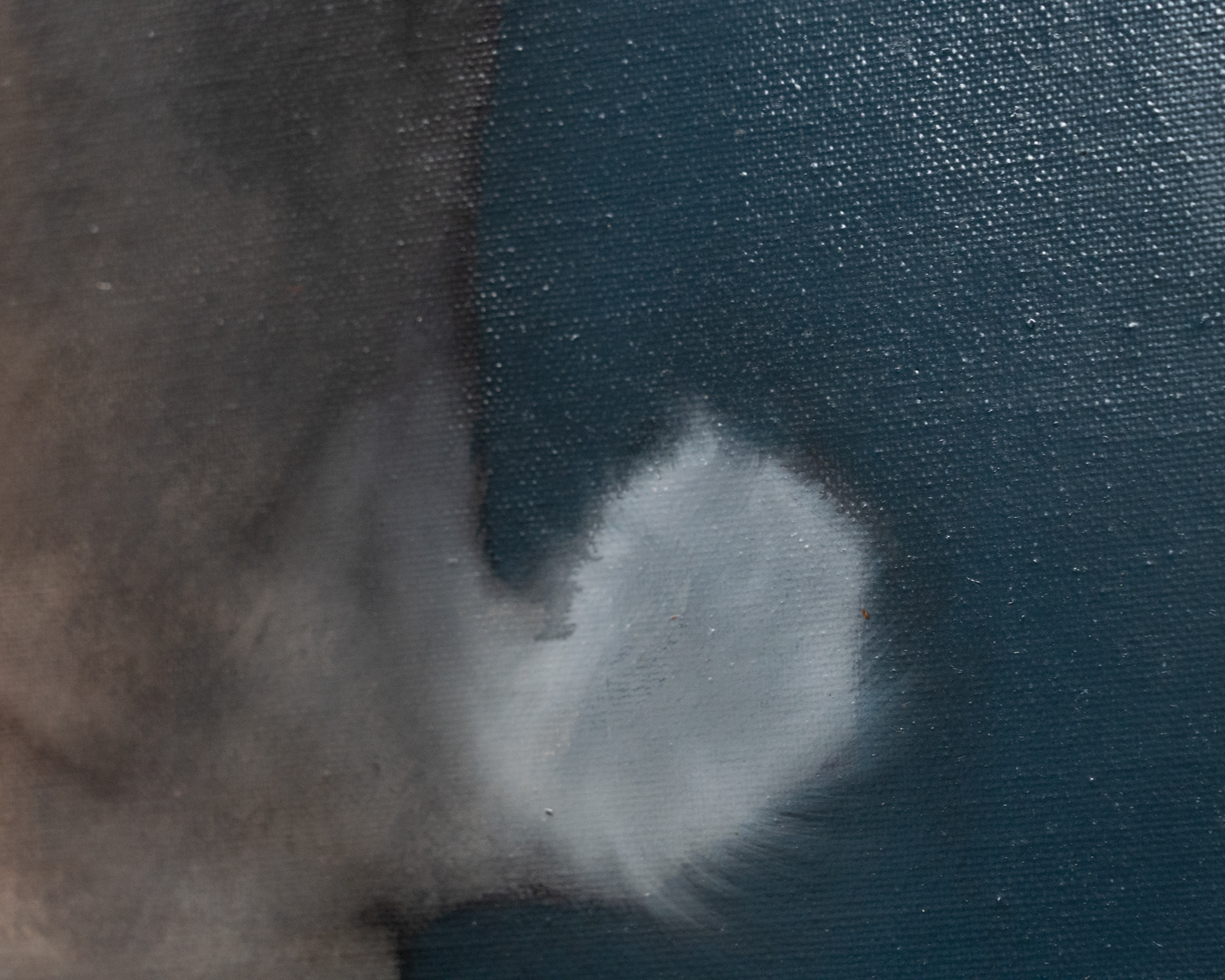 Heidi Wickham acrylics original Irish art striking colours beautiful art original painting contemporary artist vivid interiors kilbaha gallery hare animal art