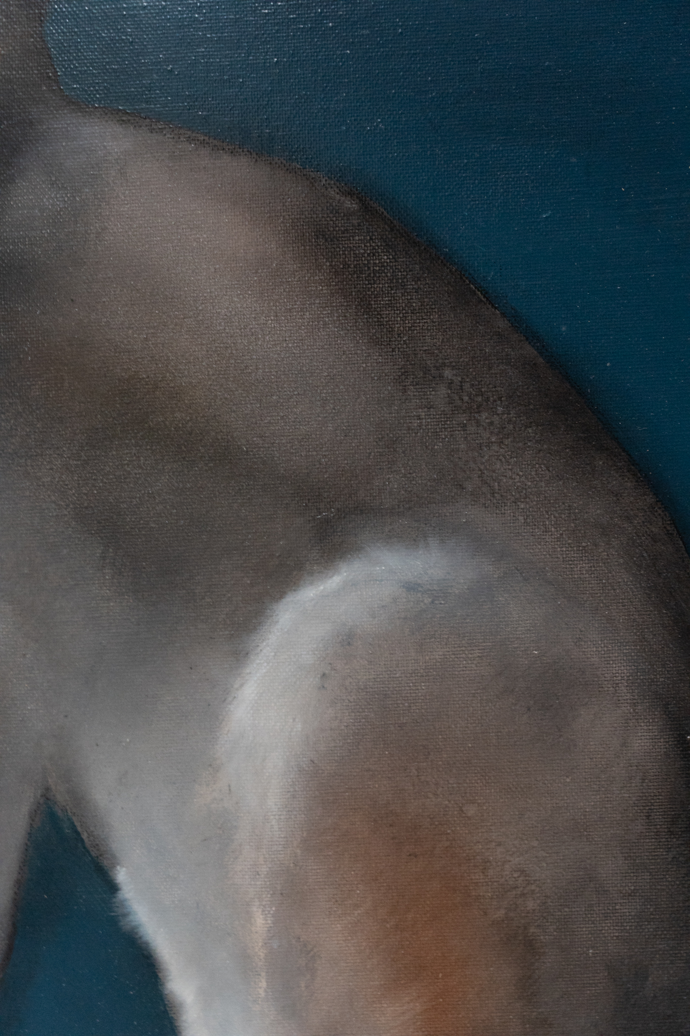 Heidi Wickham acrylics original Irish art striking colours beautiful art original painting contemporary artist vivid interiors kilbaha gallery hare animal art