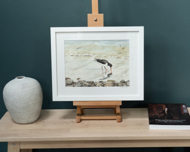 Oystercatcher in Watercolour