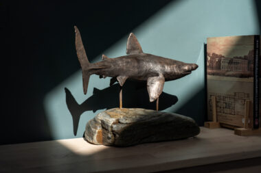 Basking Shark III
