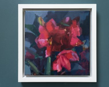 Amaryllis 2026 by Bairbre Duggan