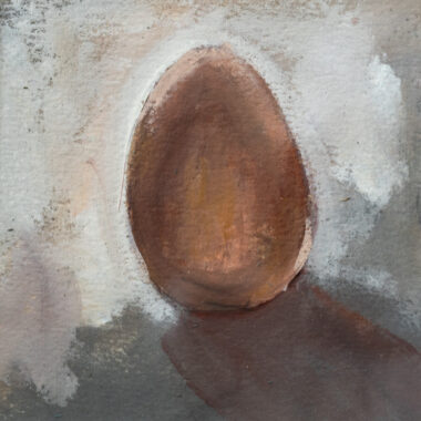 Organic Egg Double Yolker