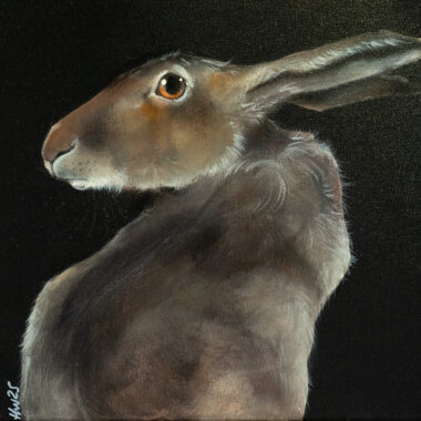 Hare on Black