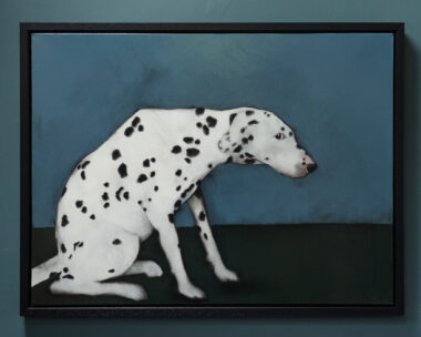 Spotted Dog