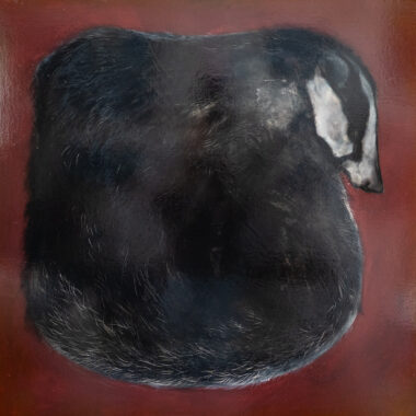 Big Badger
