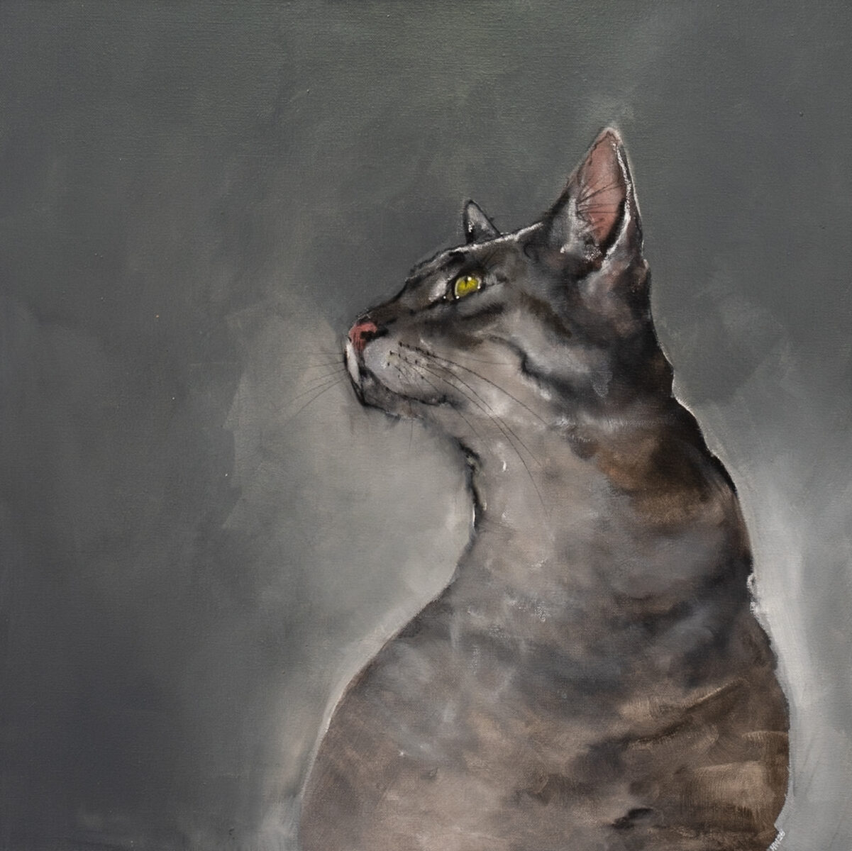Heidi Wickham original Irish art and interiors stripe cat original painting acrylings Kilbaha Gallery