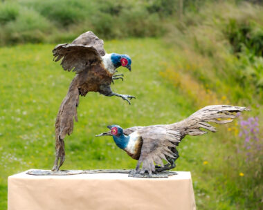 Fighting Pheasants