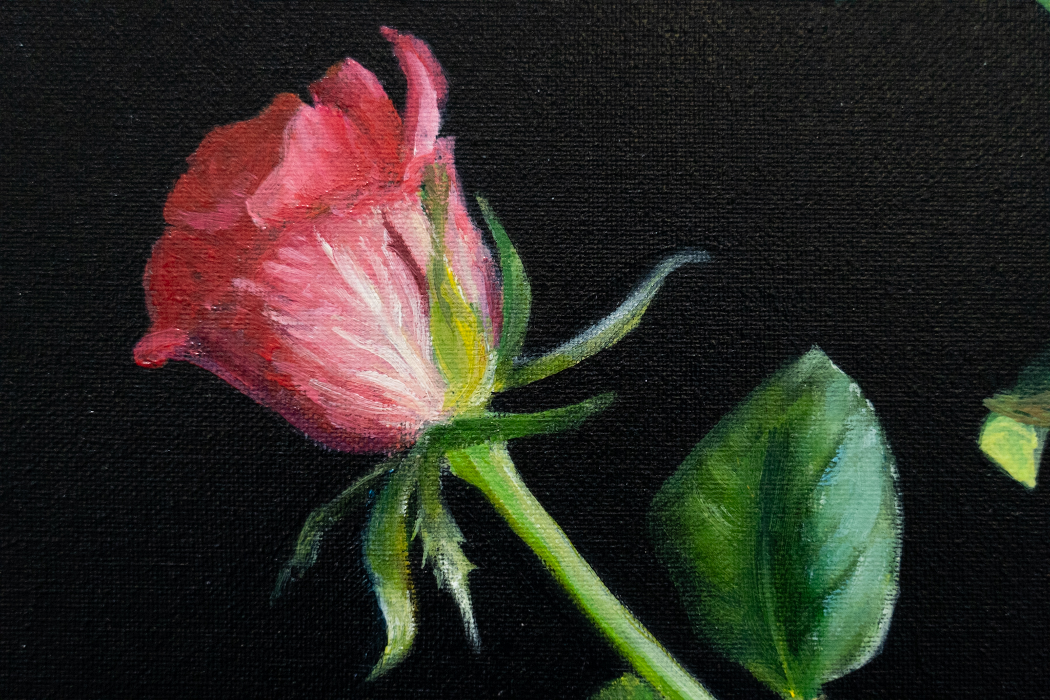 Diana Marshall Original Irish Art Oil Panting Still Life Painting Kilbaha Gallery Fine Art