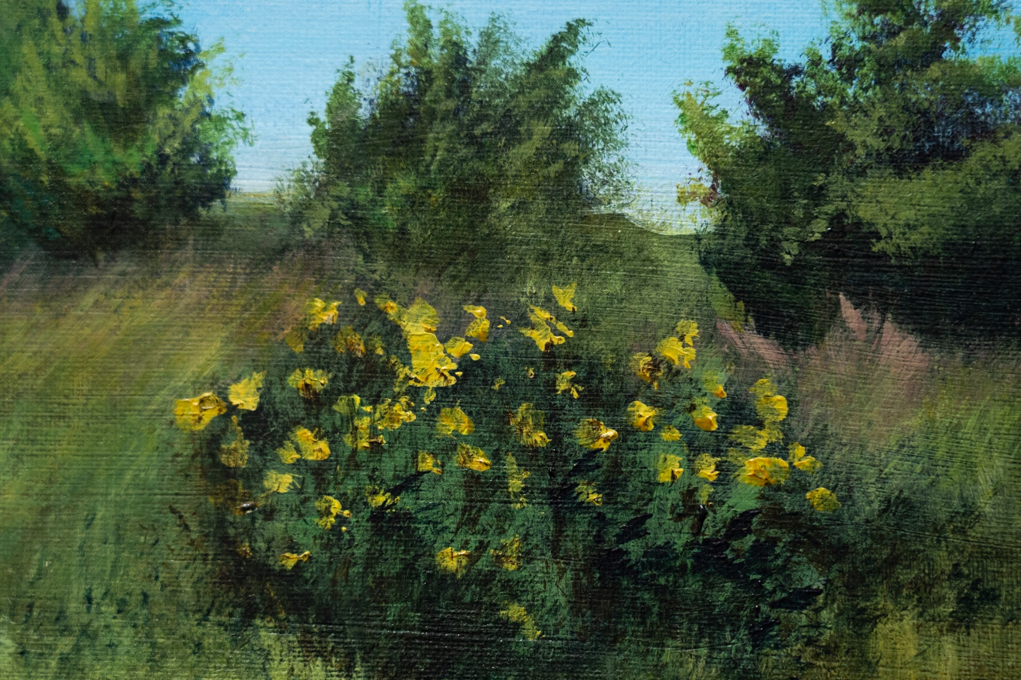 Delaney Davis Kilbaha Gallery acrylics painting irish art beautiful painting Doonbeg