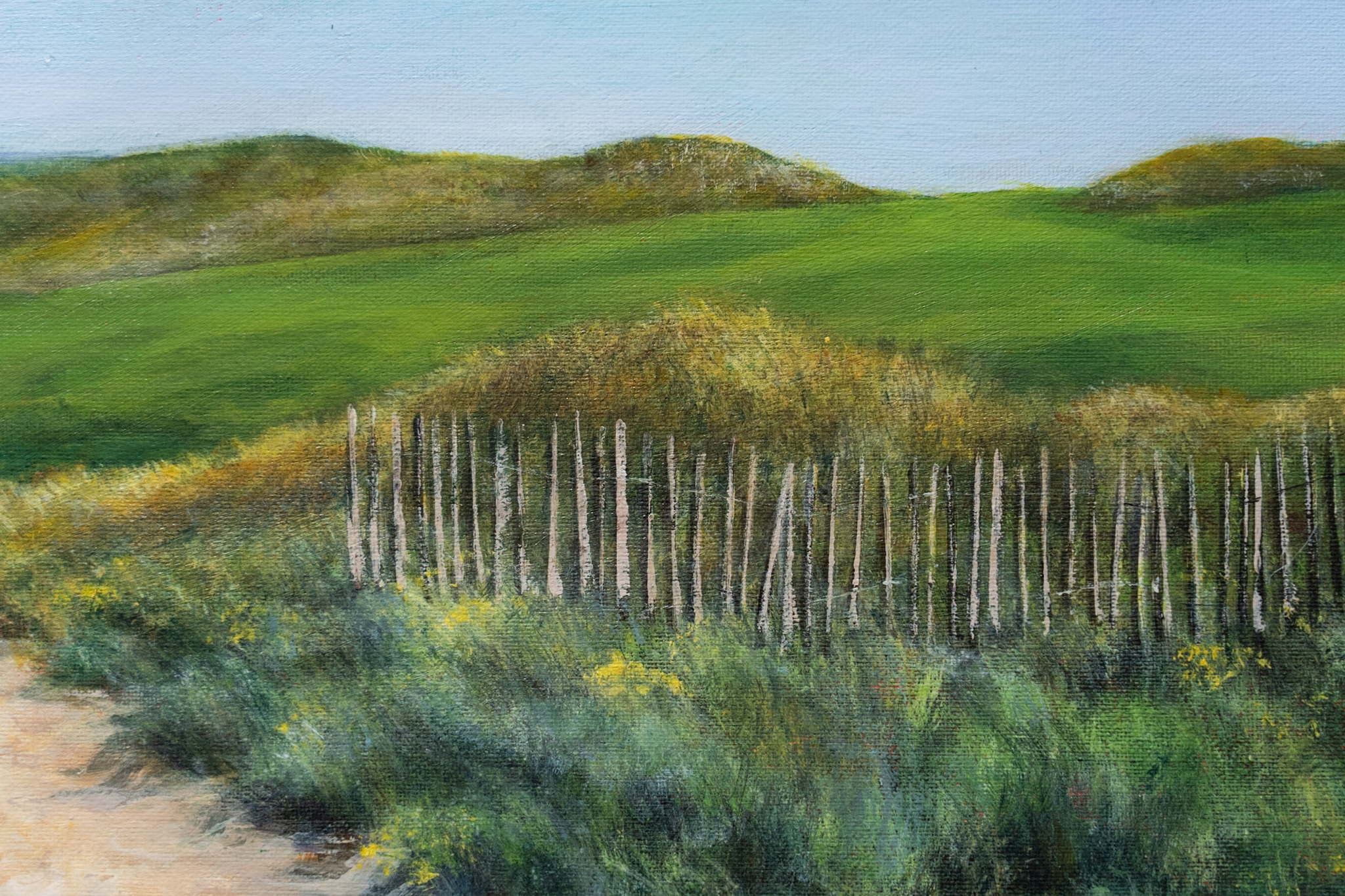 Delaney Davis Kilbaha Gallery acrylics painting irish art beautiful painting Doonbeg