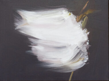Bog Cotton II